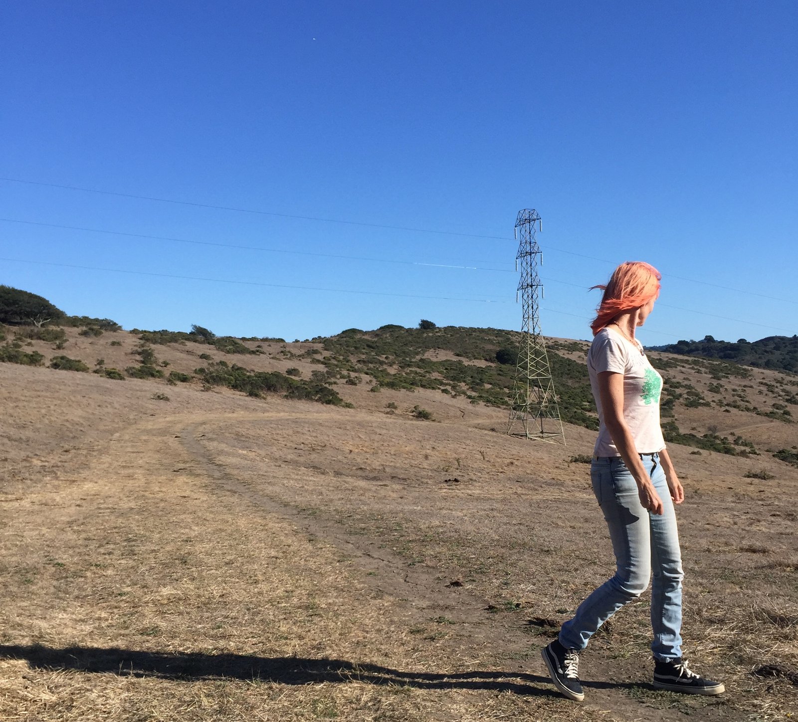 Tilden
